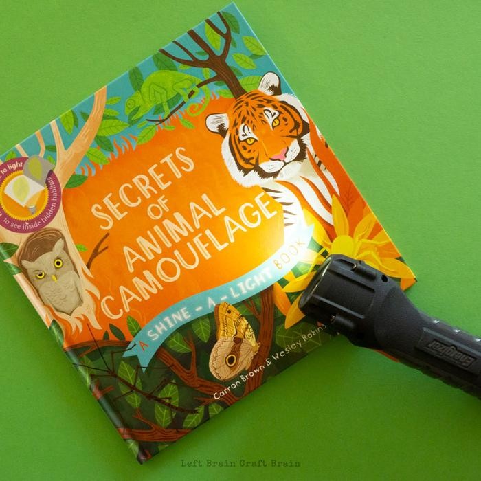 

Buku Anak - Collection Shine in a light book - Hard cover & Paper Bag