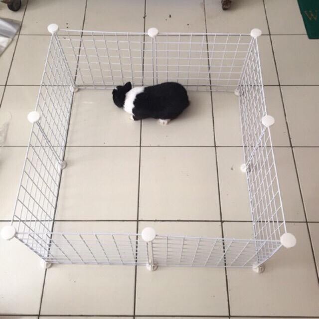 

I77W C&C Cage Grid White Colour 35 Cm X 35 Cm Torto , Guineapig And Playpan