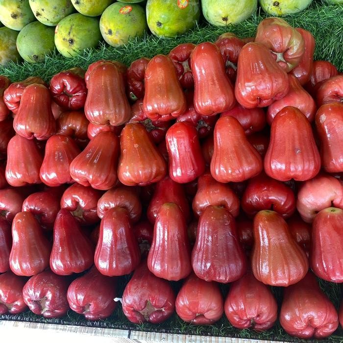 

DISKON jambu air citra Ajambu airbuah jambu READY STOCK