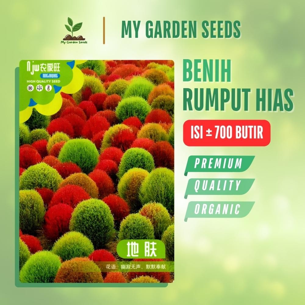 BENIH TANAMAN RUMPUT HIAS / KOCHIA KEMASAN IMPORT ± 700 BUTIR