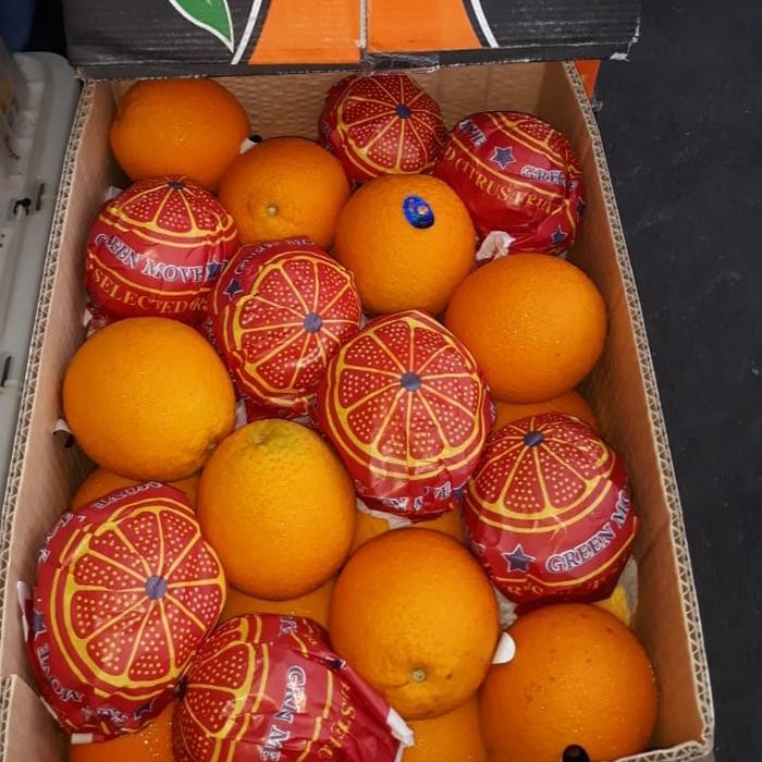 

ASLI PAKET BUNDLING JERUK SANKIS VALENCIA FRESH PER 3 KG READY STOCK