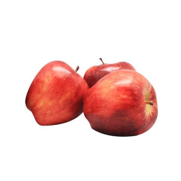 

TERLARIS APEL RED DEL USA B 460 GR - BUAH READY STOCK