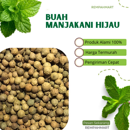 

1kg Buah Biji Manjakani Hijau Premium / Manjakani Hijau Quercus Infectoria Alami / Bahan Minuman kesehatan Herbal 1 Kilogram Rempahmart