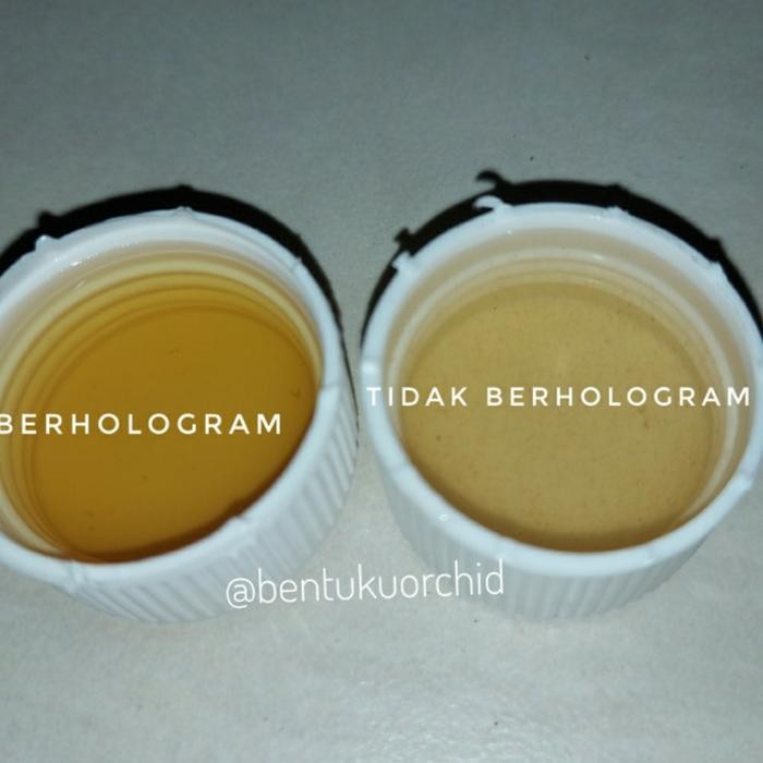 Jual Vitamin B1 Liquinox 454 ml Berhologram/Vitamin B1 Tanaman