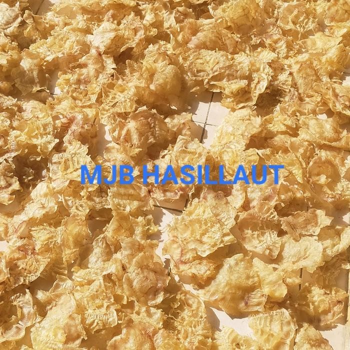 

Gelembung Ikan Manyung/Perut Ikan Mayong/ Lambung Ikan/Hipio/Hupio/1Kg Best Seller