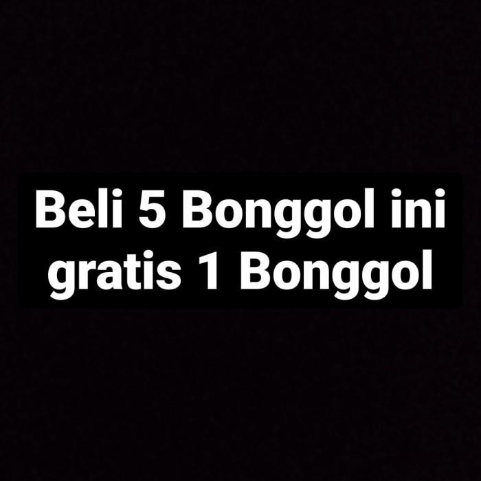 (Allthebest) bonggol monstera marmorata variegata albino