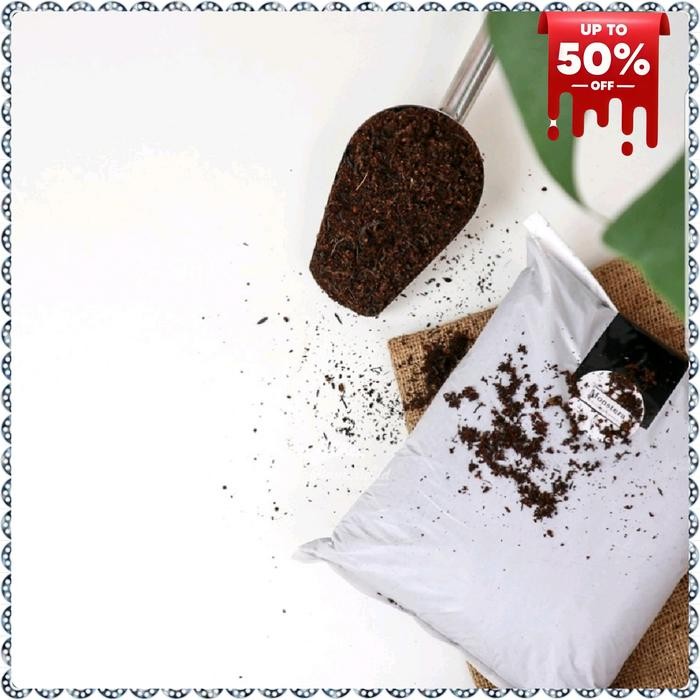 media tanam monstera philodendron siap pakai - media tanam monstera