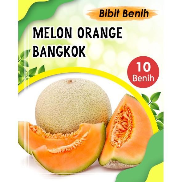 10 BIJI BENIH BUAH MELON ORANGE BANGKOK - BIBIT MELON ORANGE