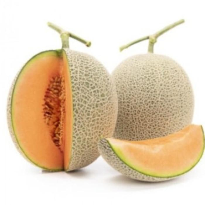 BIBIT UNGGUL MELON FUJISAWABENIH MELON JEPANG FUJISAWAMELON FUJISAWA