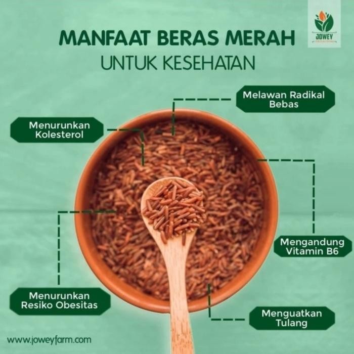 

Terbaru BERAS MERAH 5 LITER Ready