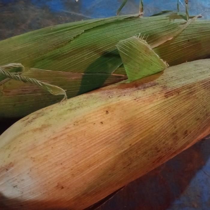 

(Allthebest) Jagung Manis pake Kulit 1 kg