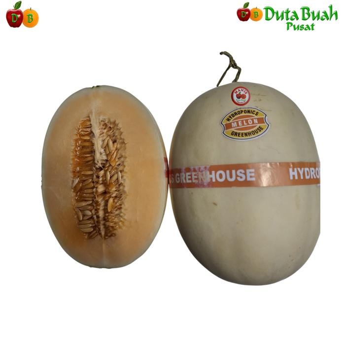 

TERLARIS Duta Buah Melon Kirini 700g - 1000g READY STOCK
