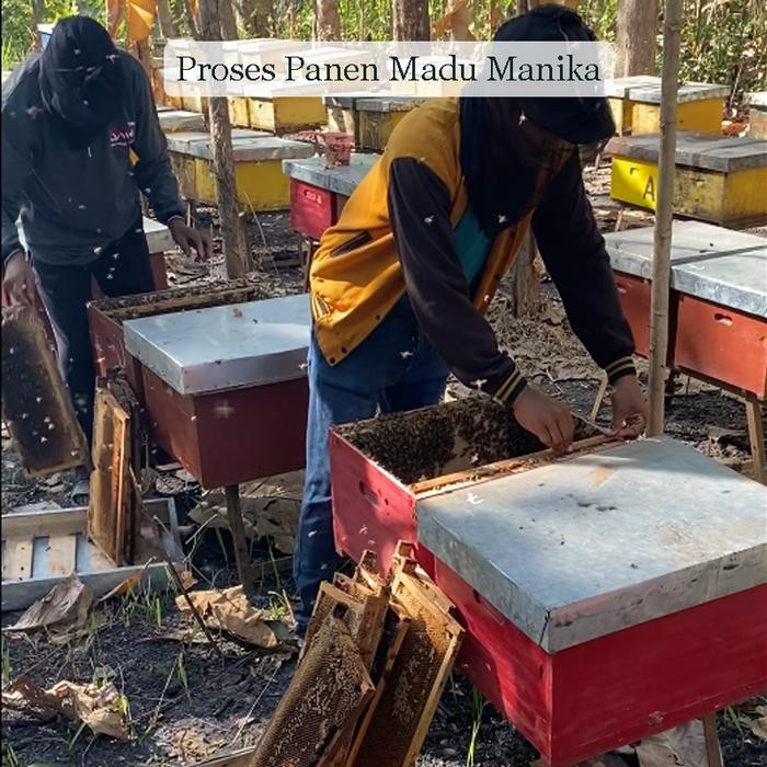 

MADU MURNI ASLI ORIGINAL TANPA CAMPURAN 1 KG MANIKA BY POKSU MAGELANG