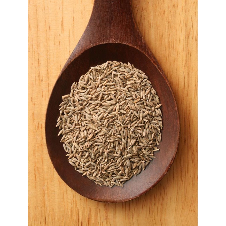 

Jintan Putih Butir Fresh Organik - Jinten 1 Kg kering Spices Pedas