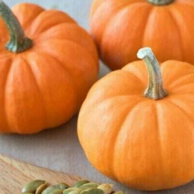 

Promo Buah Labu Utuh Whole Pumpkin Dekorasi Halloween & Masak