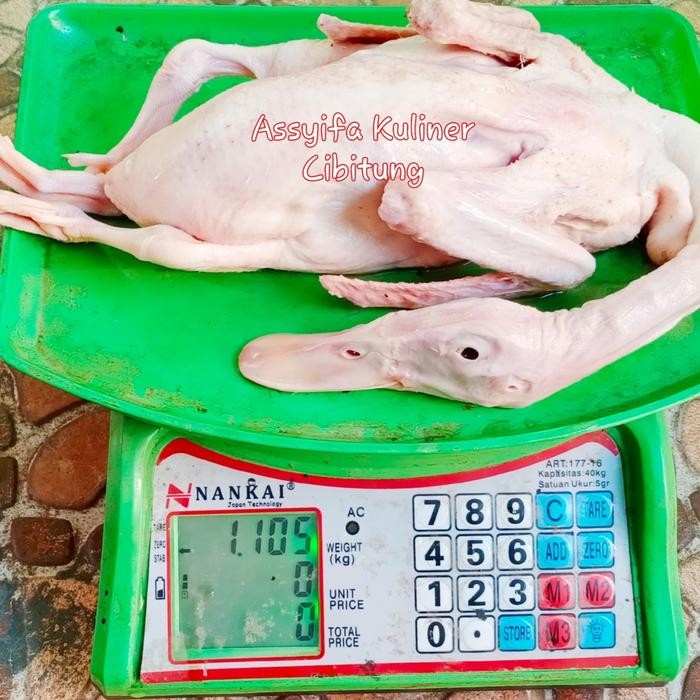 

Baru Bebek Peking Hibrida Premium Bersih Berkualitas - Olahan Bebek Viral