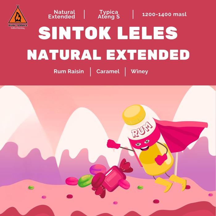 

ARABICA SINTOK GARUT LELES NATURAL EXTENDED -500GR