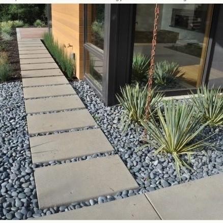 batu koral abu abu Hiasan taman (TERBAIK) (TERBARU) (TERMURAH)