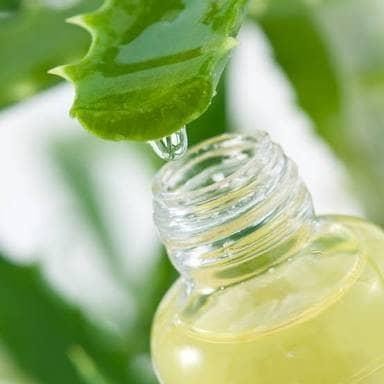 

IGIH- Aloe Vera Extract Liquid/ Ekstrak Lidah Buaya