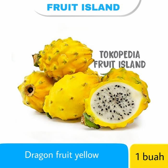

NATURE- Dragon Fruit Yellow Buah Naga Kuning Import 1 Pcs
