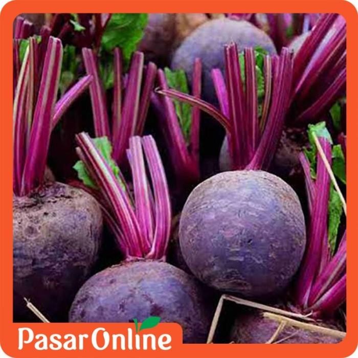 

NATURE- Buah Bit / Beetroot / Buah Segar