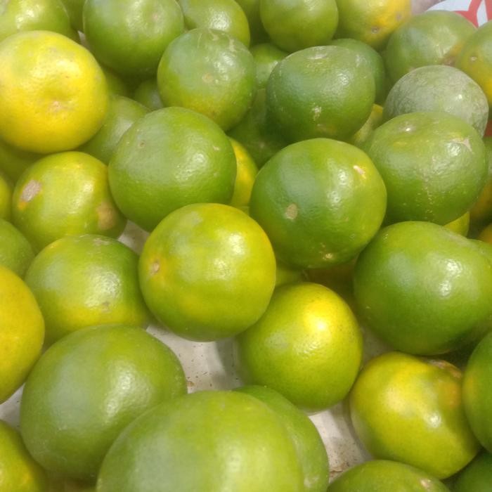 

NATURE- Jeruk Khusus Peras/Manis Kulit Tipis Banyak Air