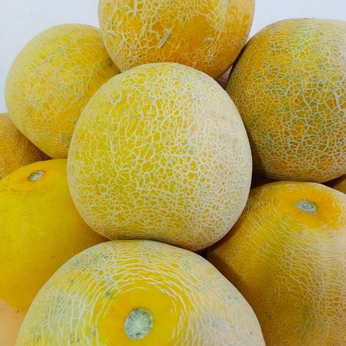 

NATURE- Melon Madu Manis Dan Empuk