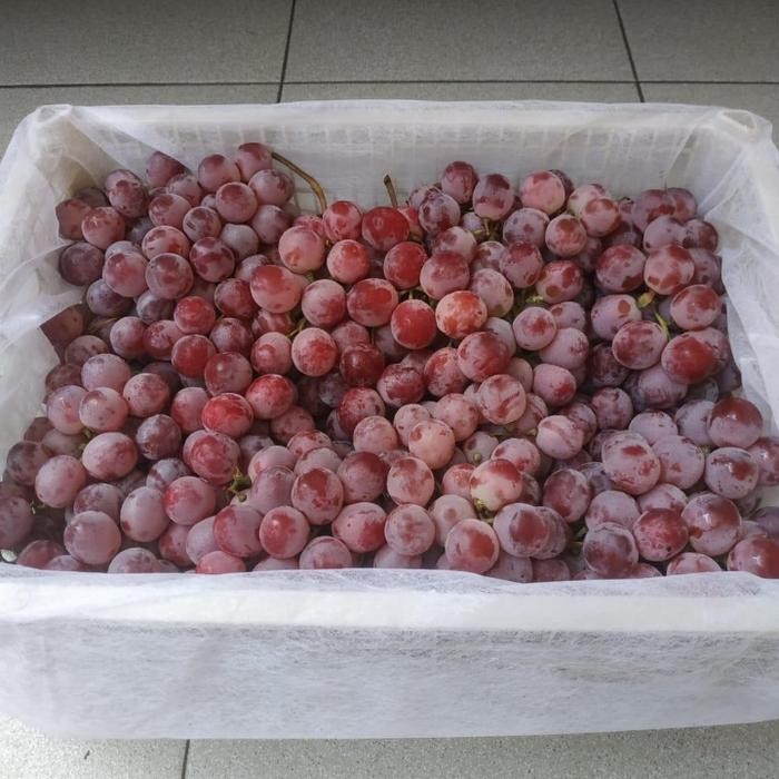 

NATURE- Buah Anggur Red Globe Fresh Berbiji Manis 1 Kg