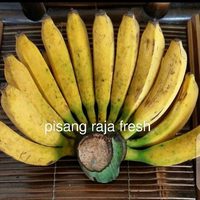 

NATURE- Buah Pisang Raja Fresh Per 1 Sisir Manis