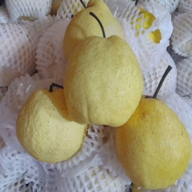 

NATURE- Rezeki Fresh Market Pear Sweet / Pear Madu Rrt [0.9-1.1Kg/ 3-4Pcs]