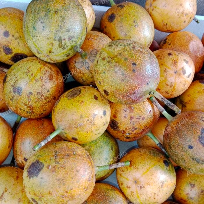 

NATURE- Buah Markisa Fresh / 1 Kg