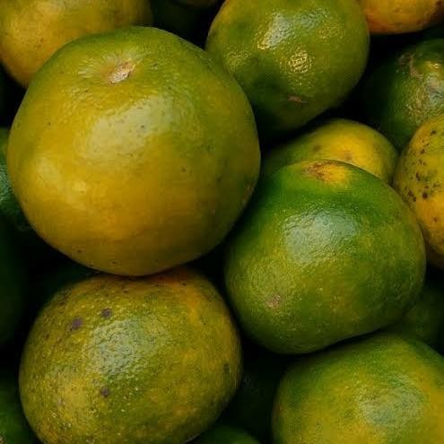 

NATURE- Jeruk Pontianak Manis 1 Kg