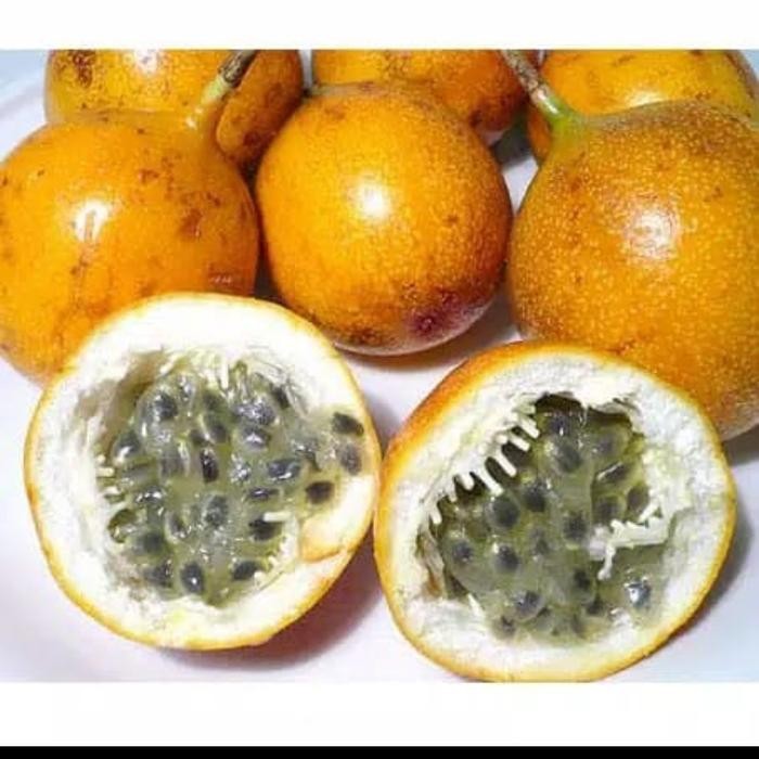 

NATURE- Buah Markisa Manis 1Kg