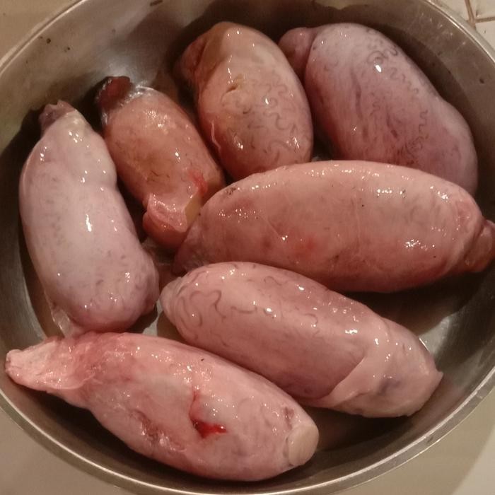 

Siap Kirim Torpedo / Biji Sapi - Camilan Protein,