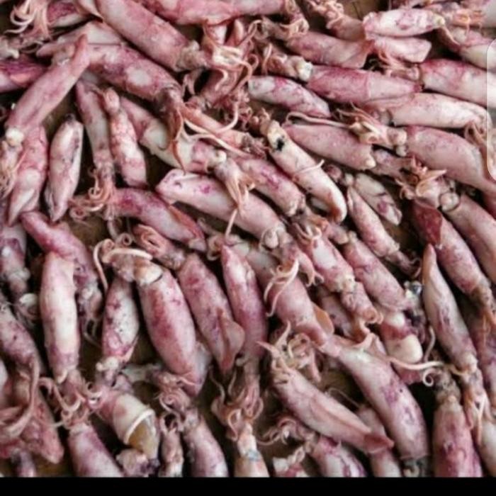 

Siap Kirim Cumi Asin Pilihan Gurih Bikin Nagih 500gr,