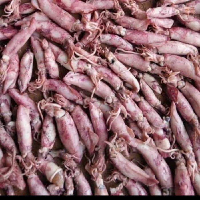 

Siap Kirim Ikan Asin Cumi 1kg - Shopee