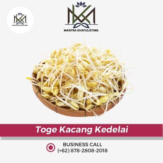LUXEHEALTH- Toge Kedelai