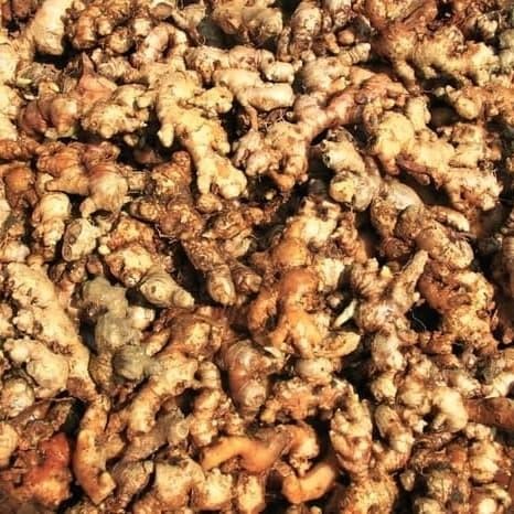 

LUXEHEALTH- Jahe Emprit / Jahe Sunti / Jahe Putih Segar 500Gram