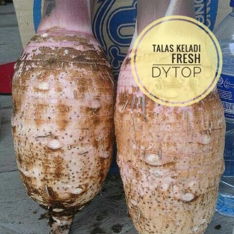 

LUXEHEALTH- Talas Keladi Tales Riau Sumatera - 1 Kg - Dijamin Empuk Legit