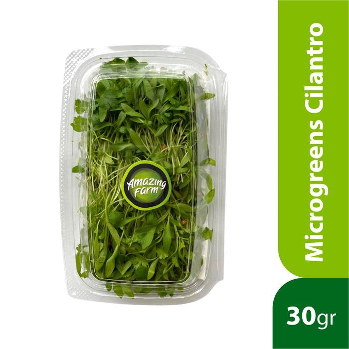 

LUXEHEALTH- Microgreens Cilantro 30 Gram Amazing Farm