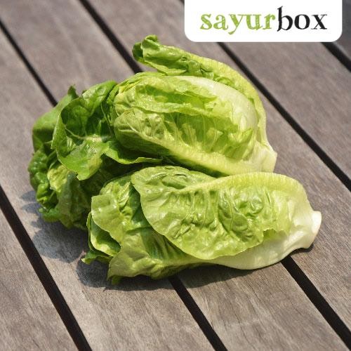 

LUXEHEALTH- Baby Romaine Bulk (1Kg) 1 Kg Sayurbox