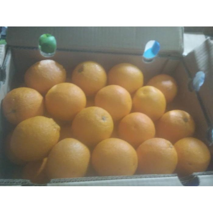 

sunkis/buah/vitamin C/makanan