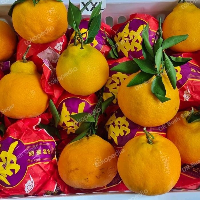 

Jeruk Chunjian Dekopon Papagan Cuntien Papakan China 1 keranjang