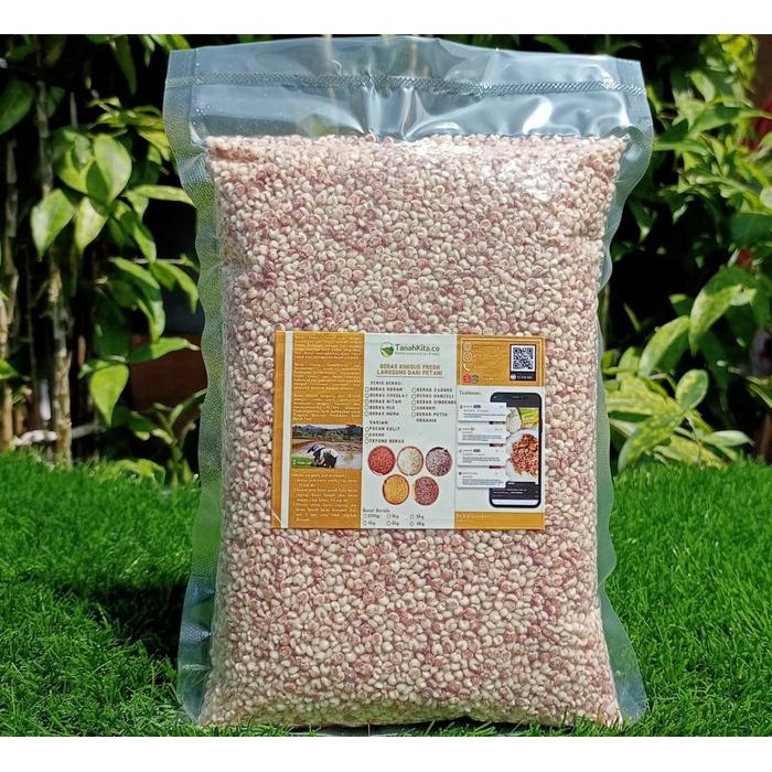 

Pilihan- Bera Sorghum Merah 500Gr Enak Dan Pulen Fresh Langsung Dari Petani