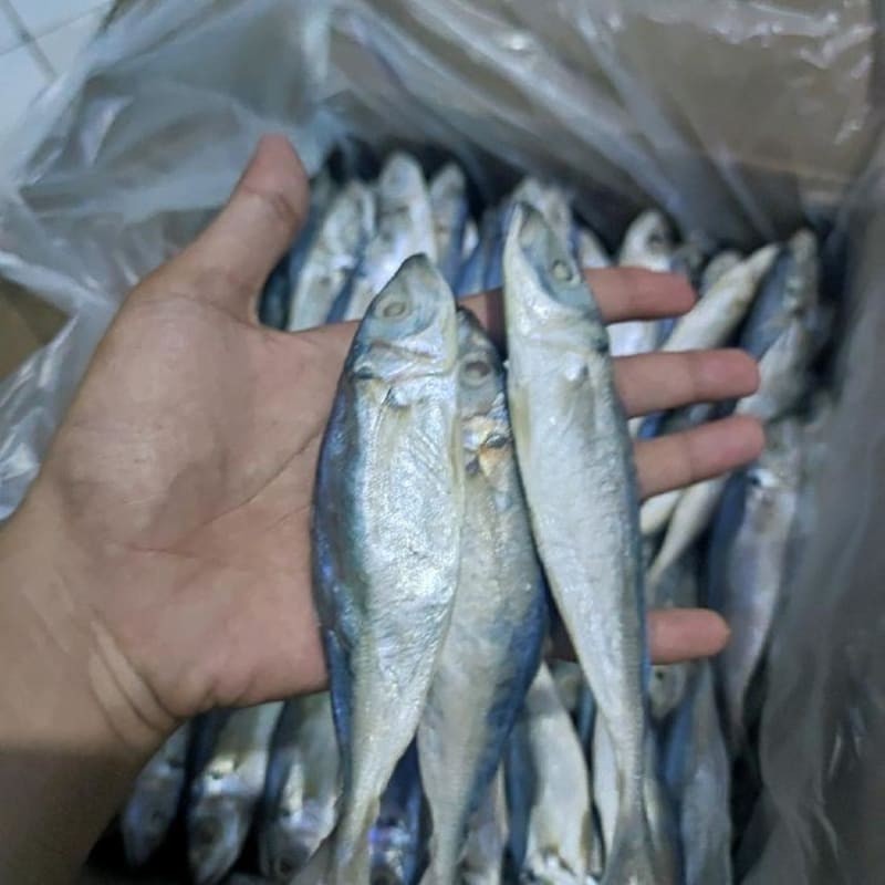 

Ikan Asin Peda Layang 1000gr