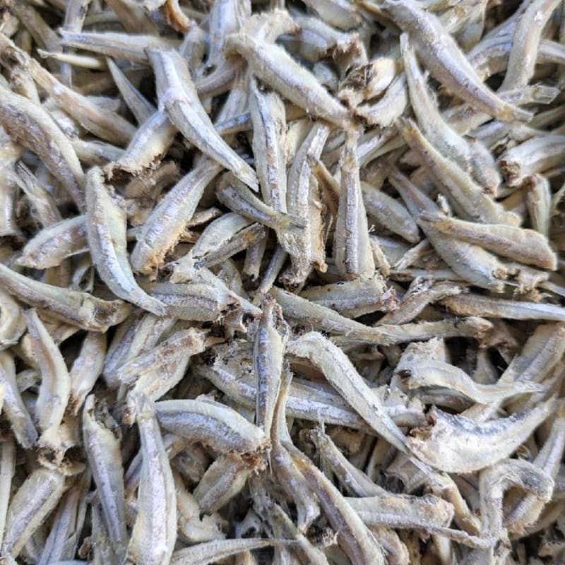 

TERI JENGKI TANPA KEPALA/GUNDULAN 250GR