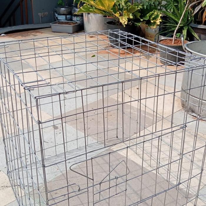 Kandang Ayam galvanis kotak Umbaran Bangkok Uk. 100x100x100cm