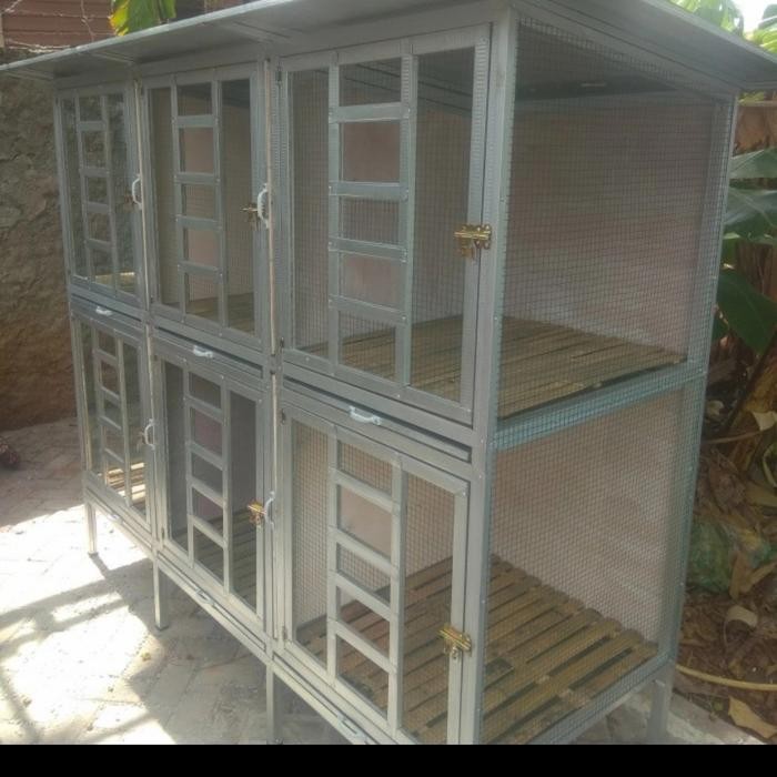 kandang ayam bangkok 6 pintu