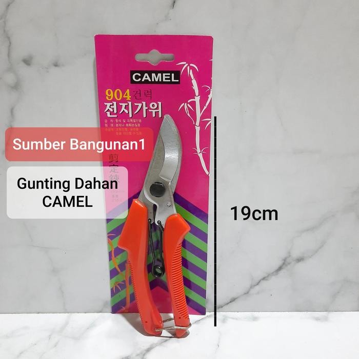 GUNTING DAHAN CAMEL