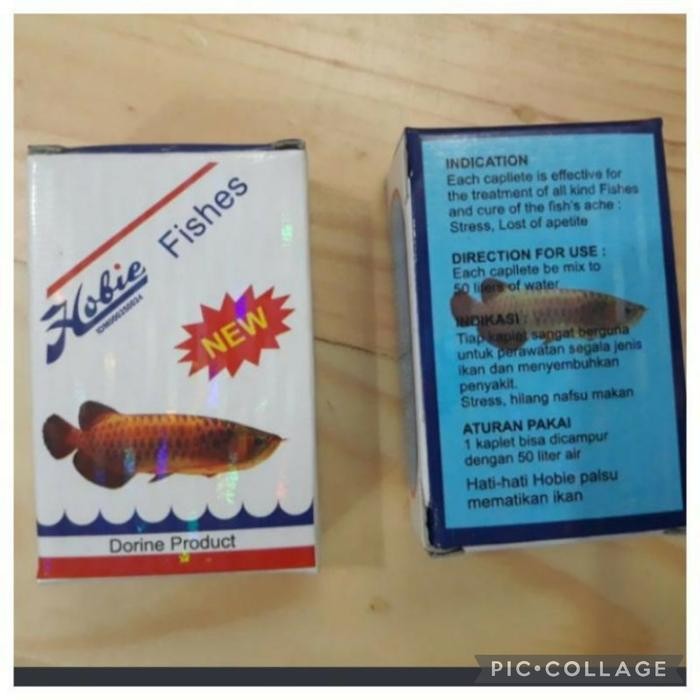 Tekira.store CAE - Hobie Fishes Dorine Product Asli Original Logo Hologram Vitamin Obat Penambah